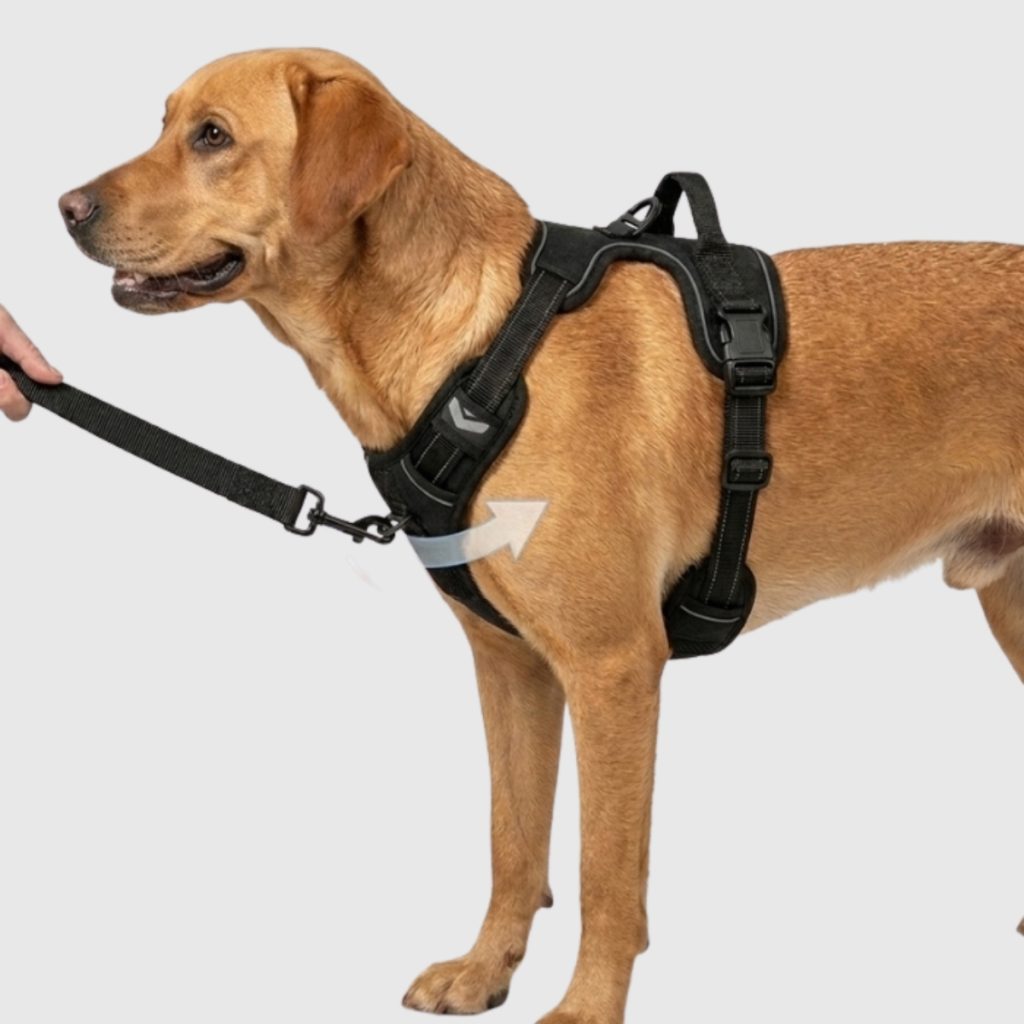anti-trek-y-harnas-hond-uitrusten