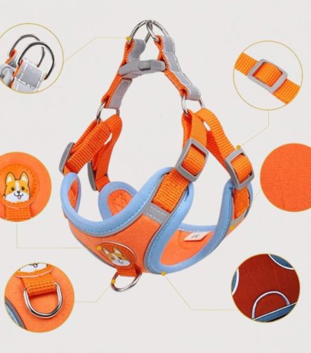 anti-trek-y-harnas-kleine-hond-detail