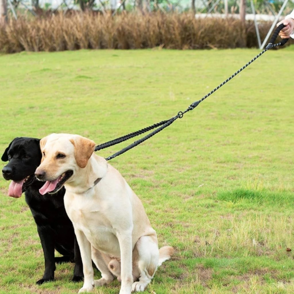 dubbele-hondenleiband-2-meter-elastisch-uitrusten