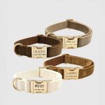 gepersonaliseerde-fluwelen-halsband