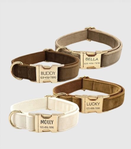 gepersonaliseerde-fluwelen-halsband