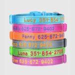 gepersonaliseerde-hondenhalsband-reflecterend