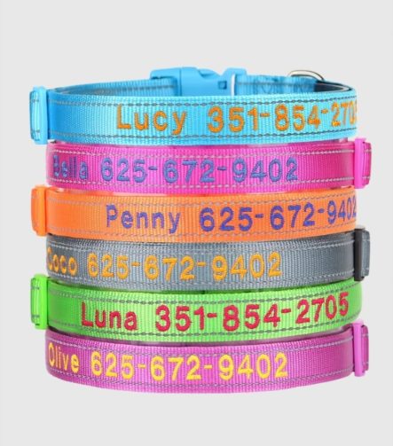 gepersonaliseerde-hondenhalsband-reflecterend