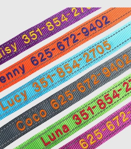gepersonaliseerde-hondenhalsband-reflecterend-kleur