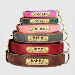 gepersonaliseerde-leren-halsband-leder