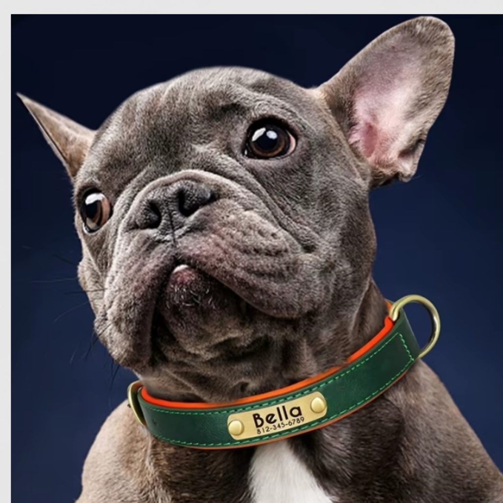 gepersonaliseerde-leren-halsband-leder-uitrusten