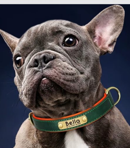 gepersonaliseerde-leren-halsband-leder-uitrusten
