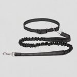 handsfree-leiband-hond-hardlopen-wandelen