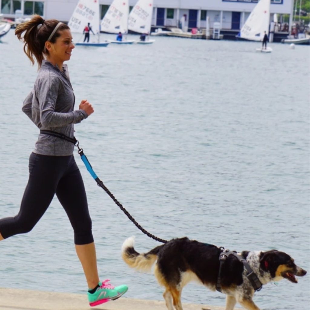handsfree-leiband-hond-hardlopen-wandelen-uitrusten