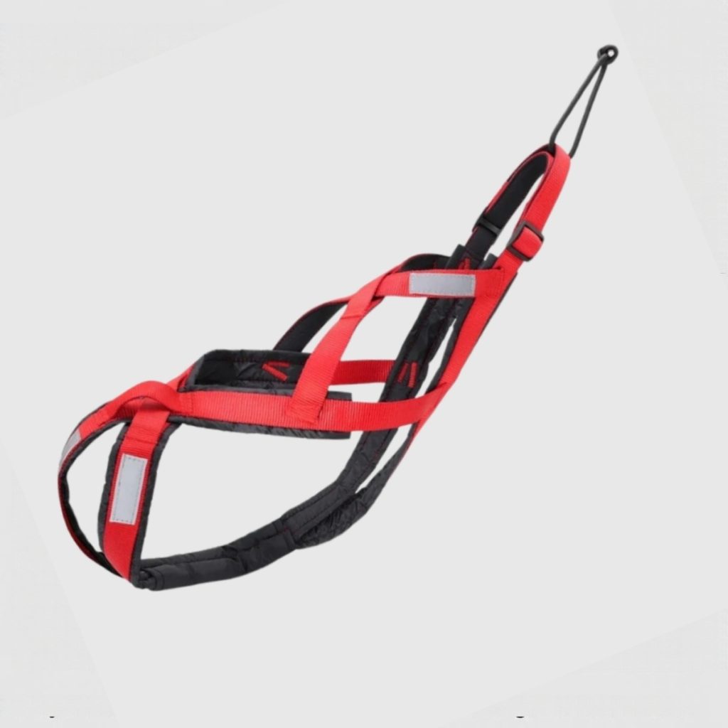 sport-canicross-harnas-x-back